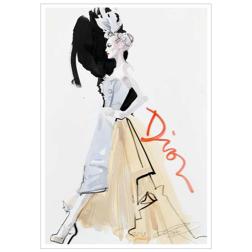 David Downton, Galliano for Dior - Gray M.C.A